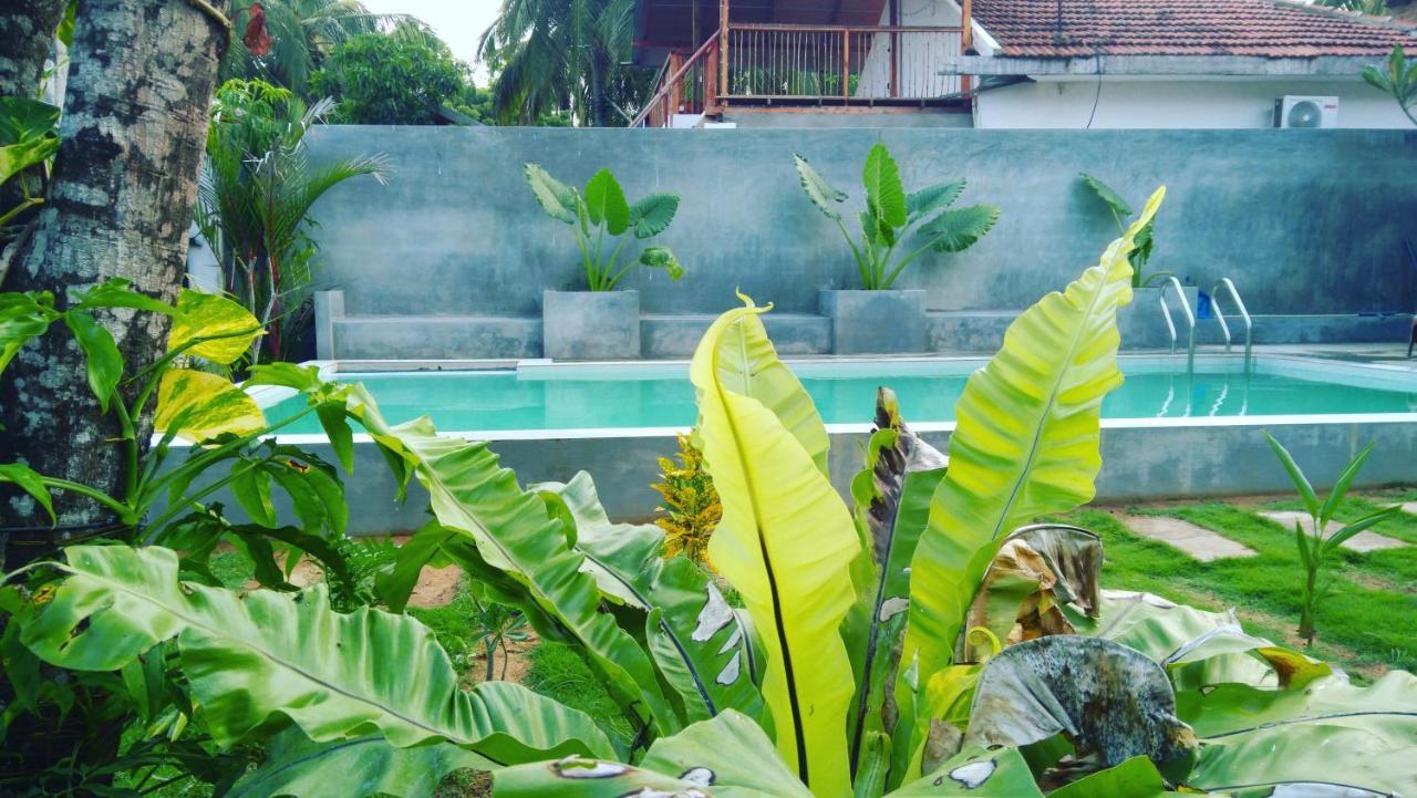 Surf Gangs Arugambay Hotell Arugam Kudah Eksteriør bilde
