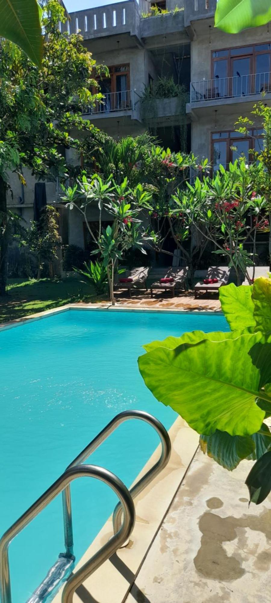 Surf Gangs Arugambay Hotell Arugam Kudah Eksteriør bilde