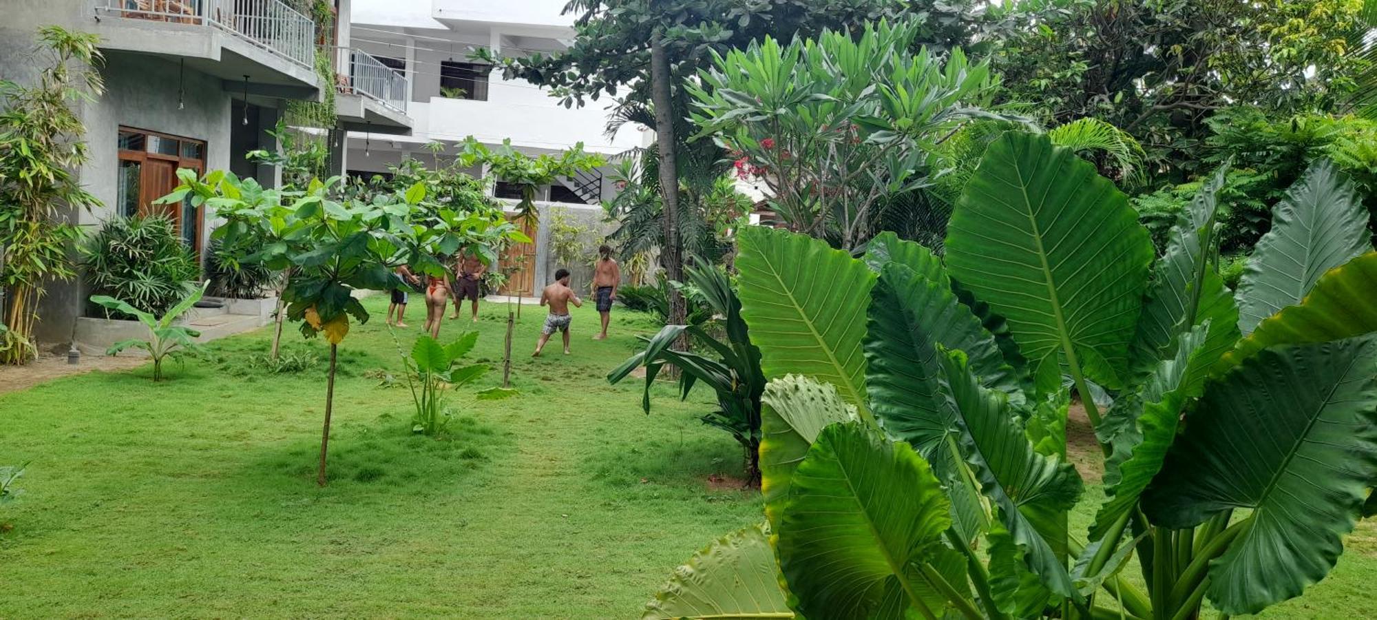 Surf Gangs Arugambay Hotell Arugam Kudah Eksteriør bilde