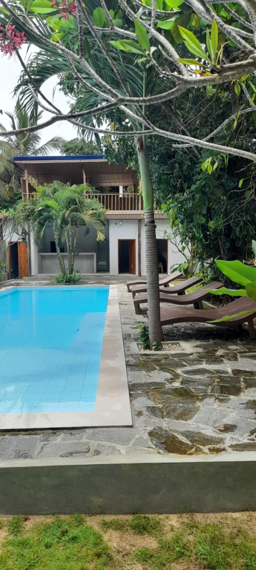 Surf Gangs Arugambay Hotell Arugam Kudah Eksteriør bilde