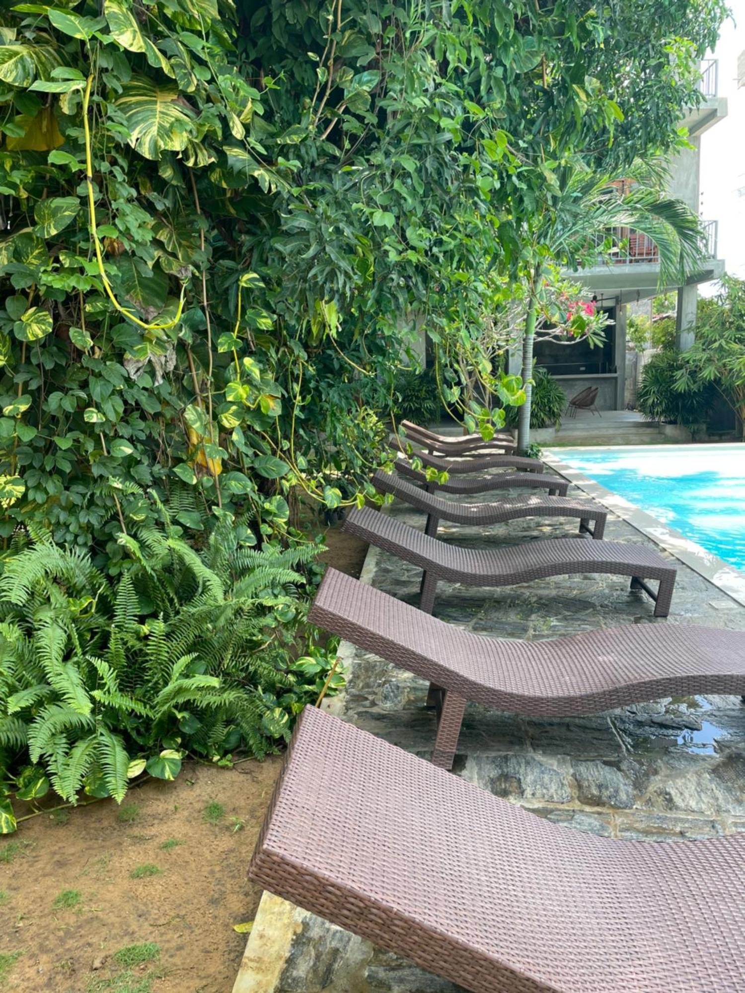 Surf Gangs Arugambay Hotell Arugam Kudah Eksteriør bilde